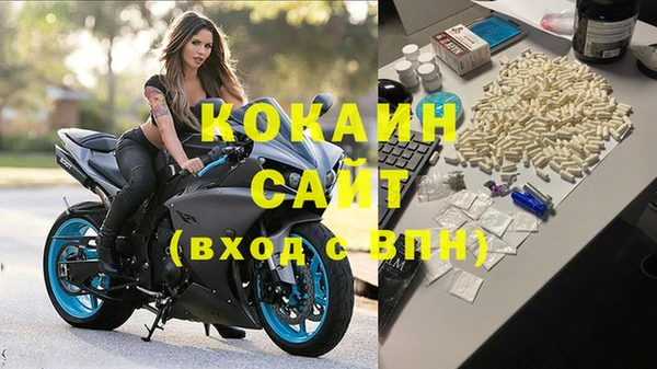 PSILOCYBIN Беломорск