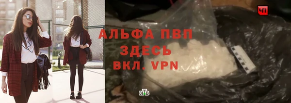 PSILOCYBIN Беломорск