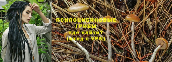 COCAINE Белокуриха