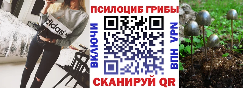 мега ТОР  Балабаново  Псилоцибиновые грибы Cubensis 